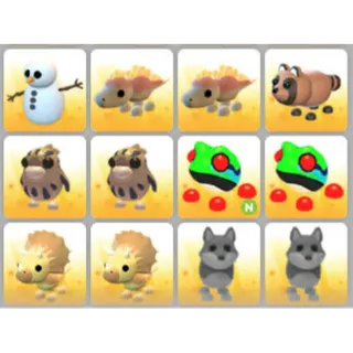 BUNDLE PET X12
