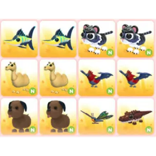 BUNDLE PET X12