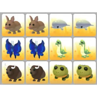 BUNDLE PET X12