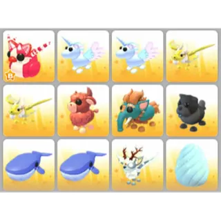 BUNDLE PET X12