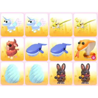 BUNDLE PET X12