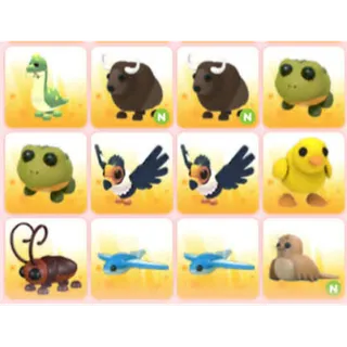 BUNDLE PET X12