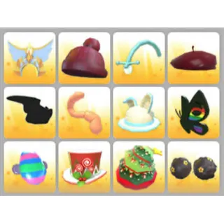 BUNDLE PET WEAR X12