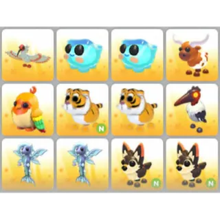 BUNDLE PET X12
