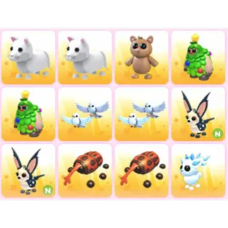 BUNDLE PET X12