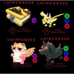 BUNDLE PET X4