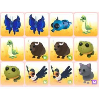 BUNDLE PET X12
