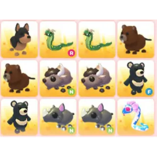 BUNDLE PET X12
