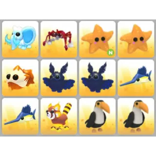 BUNDLE PET X12
