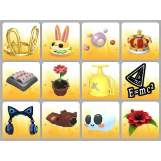 BUNDLE PET WEAR X12
