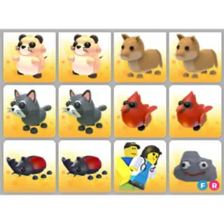 BUNDLE PET X12