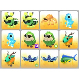 BUNDLE PET X12