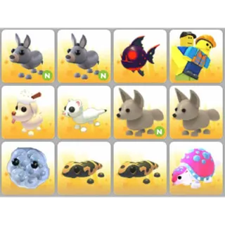 BUNDLE PET X12