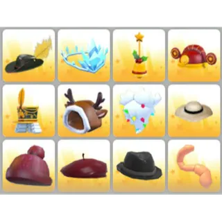 BUNDLE PET WEAR X12