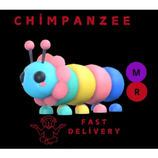 GUMBALL CATERPILLAR Mr