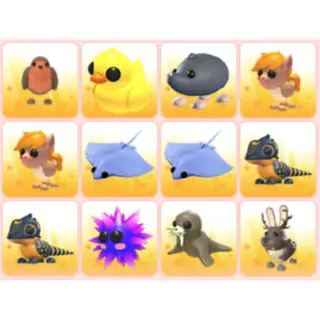 BUNDLE PET X12