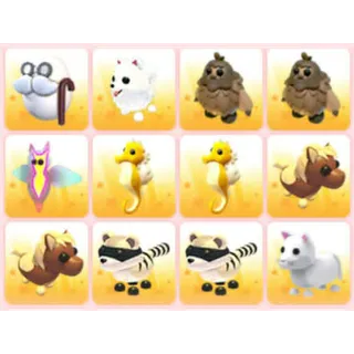 BUNDLE PET X12