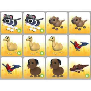 BUNDLE PET X12