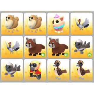 BUNDLE PET X12