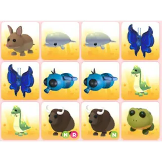 BUNDLE PET X12