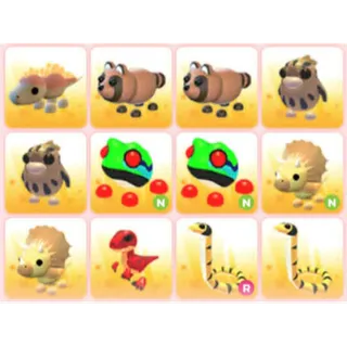 BUNDLE PET X12