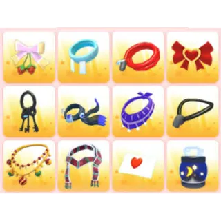 BUNDLE PET WEAR X12
