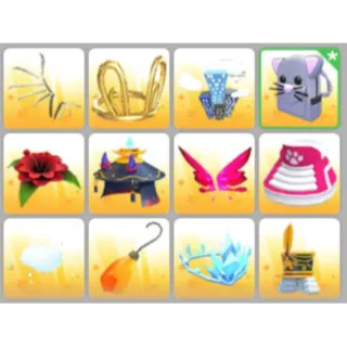 BUNDLE PET WEAR X12