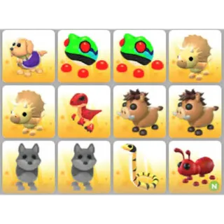 BUNDLE PET X12
