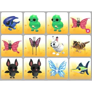 BUNDLE PET X12