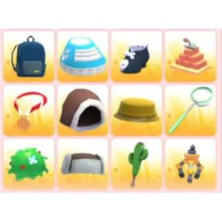 BUNDLE PET WEAR X12