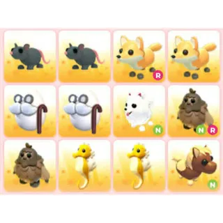 BUNDLE PET X12