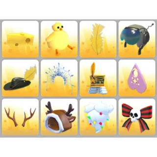 BUNDLE PET WEAR X12
