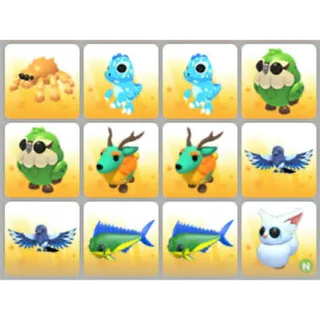 BUNDLE PET X12