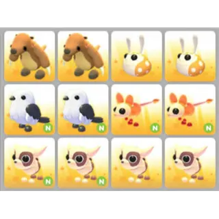 BUNDLE PET X12
