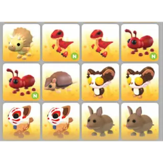 BUNDLE PET X12