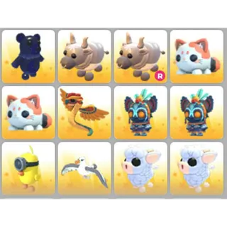 BUNDLE PET X12