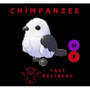 JAPANESE SNOW FAIRY MR