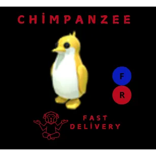 GOLDEN KING PENGUIN FR