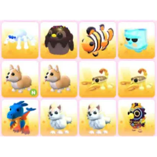 BUNDLE PET X12