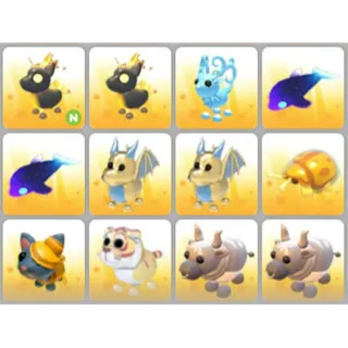 BUNDLE PET X12