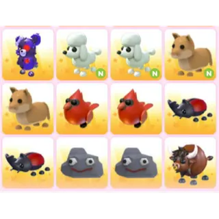 BUNDLE PET X12