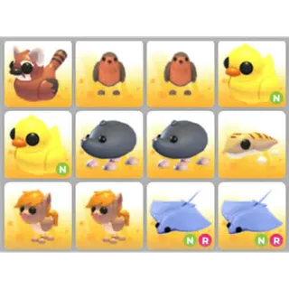 BUNDLE PET X12