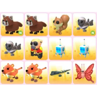 BUNDLE PET X12