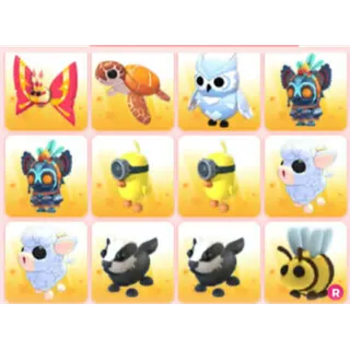 BUNDLE PET X12