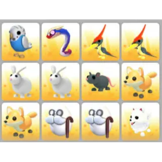 BUNDLE PET X12