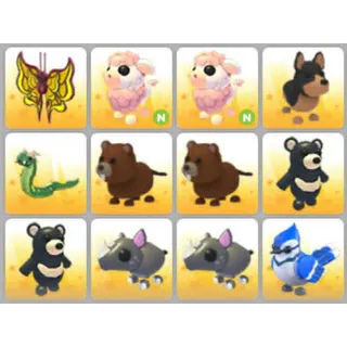 BUNDLE PET X12