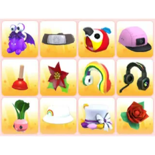 BUNDLE PET WEAR X12