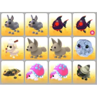 BUNDLE PET X12