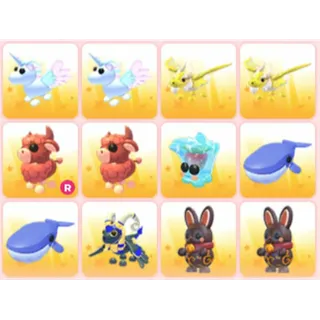 BUNDLE PET X12