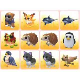 BUNDLE PET X12